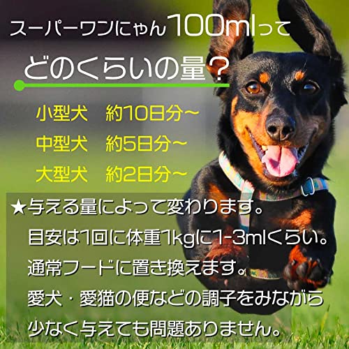 わんにゃん わんにゃんパーク | チミドロ | outbreak records