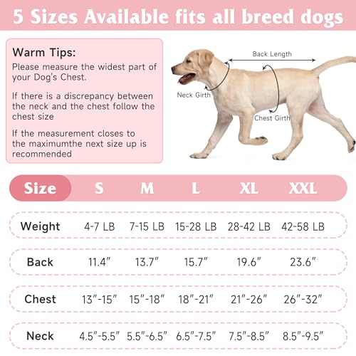 Image of Dog Surgery Recovery Suit with 2Pcs Dog Diapers for Surgery Female Male Dogs, Pet Recovery Shirt Dog Abdominal Wound Bandages, Substitute E-Collar & Cone, Prevent Licking Dog Pet Surgery Suit M