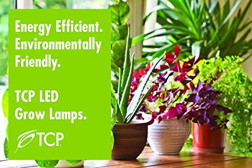 Tcp Rlr20Hh 50 Watt Equivalent Led Plant Light Bulb Shatter Resistant Energy Efficient (8W) Non-Dimmable | R20 Lamp E26 Base, Full Spectrum #TOP2