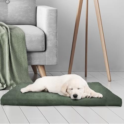 Petmaker 3 Inch Foam Pet Bed - 25.5 X 19 Inches - Forest #TOP2