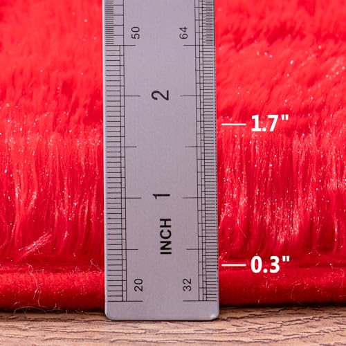 Small Red Rug 2x3 - Throw Rugs with Rubber Backing Washable - Ultra Soft Fluffy Area Rugs Living Room Shag Carpet