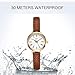 TOOCAT Fashion Women Wrist Watch, Lady Simple Leather Quartz Watches Ultra-Thin Waterproof Analog Watches for Females Student (Brown-2)