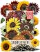 Seed Needs Bulk Package of 1,000+ Seeds, Sunflower Crazy Mixture 15+ Varieties (Helianthus annuus) Non-GMO Seeds