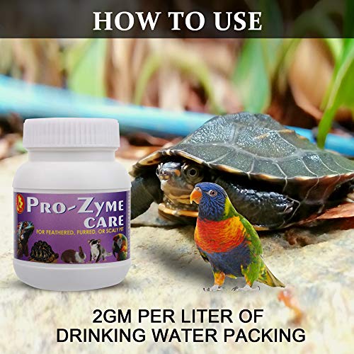Image of Pet Care International (PCI) Pro-Zyme Care || Probiotics with Digestive Enzymes for Healthy Digestive System || Designed for Reptiles, Hamster, Marmoset, Iguana, Geko, Dwarf, Gerbil || 100grm