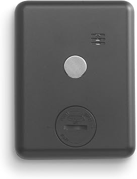 100-MINUTE MINI Timer