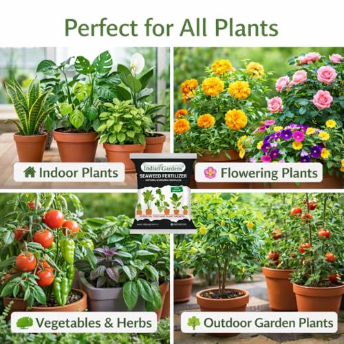 Image of Indian Gardens - Seaweed Fertilizer 10 Kg | Organic Seaweed Extract | Plant Growth Booster, Root Enhancer & Flowering Booster | For Indoor, Outdoor & All Plants