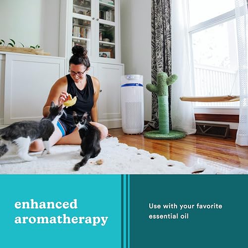 Homedics 5-in-1 UV-C Air Purifier - 360-Degree HEPA Filter for 1,192 Sq Ft, Large Air Purifiers for...