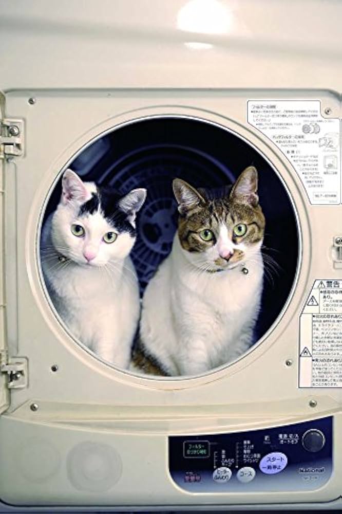 とらねこページ 91zPLOEcQLL._UF1000,1000_QL80_.jpg