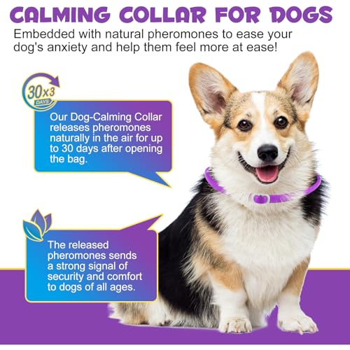 Halsbands Hund 3Pcs, Einstellbares Design Pheromon Halsband Hund für Angst, Adaptil Calm Halsband No Stress Formula, beruhigungshalsband für hunde, Hunds Pheromone Halsbands Klinisch bewährt,18.9 Zoll