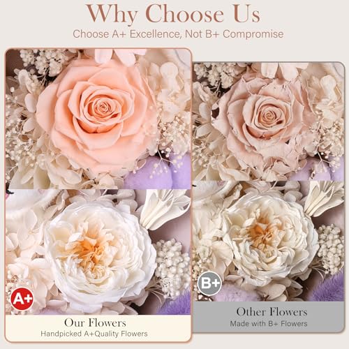 Forever Flowers Bouquet with Cute Doll - Preserved Flowers for Delivery, Real Eternal Roses Bouquet for Mothers, Mom, Girlfriend, Wife Anniversary Birthday Gifts for Women Men - Image 6