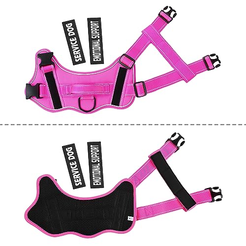 voopet Service Dog Harness, Emotional Support Pet Vest Harness, Reflective Breathable and Adjustable No-Pull ESA Dog Harness for Small Medium Large Dogs (with 4 PCS Removeable Tags) voopet Service Dog Harness, Emotional Support Pet Vest Harness, Reflective Breathable and Adjustable No-Pull ESA Dog Harness for Small Medium Large Dogs (with 4 PCS Removeable Tags)
