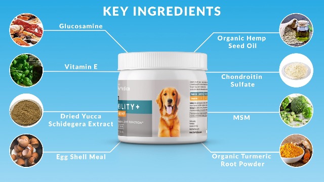 PawMedica-Glucosamine-for-Dogs-Hip-Joint-Care-Chews-for-Dogs-Joint-Support-for-Dog-Joint-Supplements-with-Hemp-Mobility-for-Dogs-Senior-Dog-Joint-Supplement-Large-Breed-120-Dog-Hemp-Chews