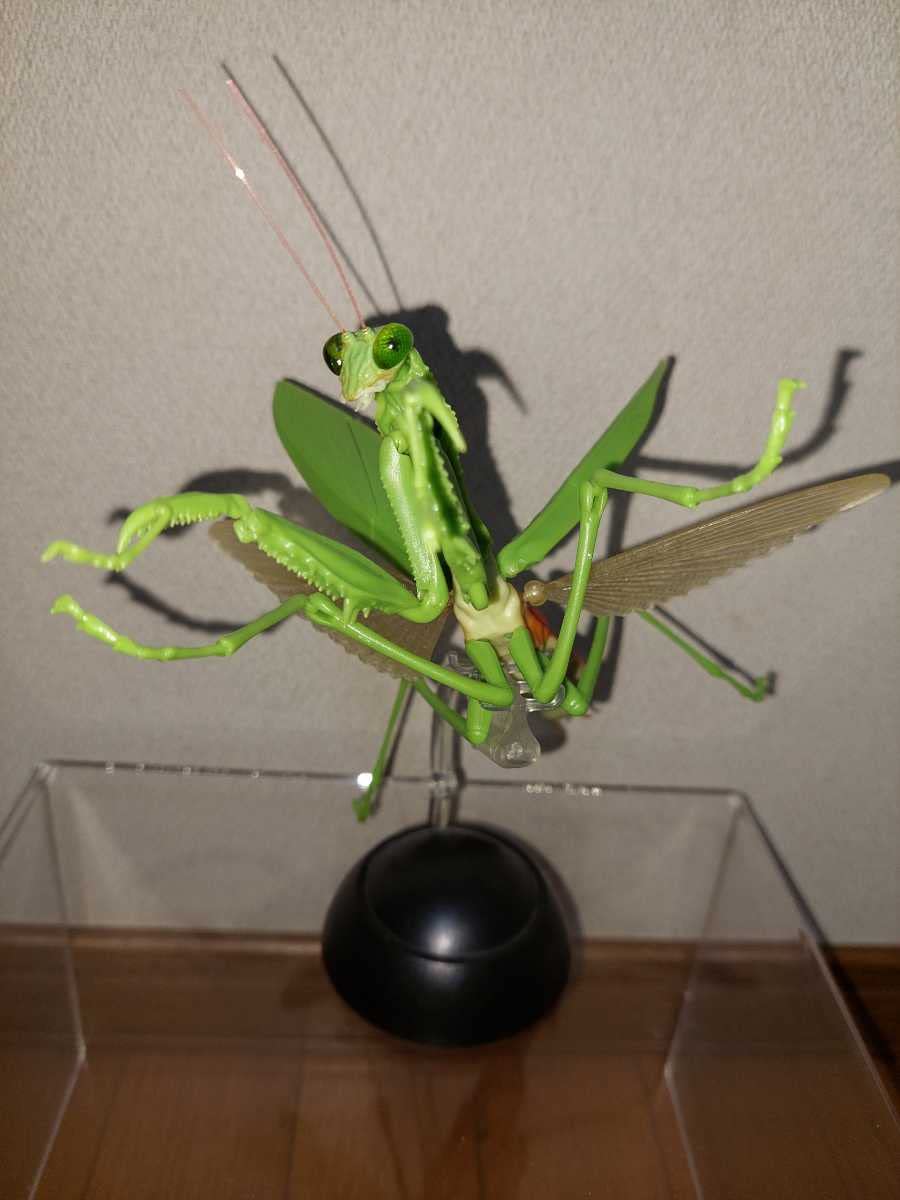 【まとめ売りのみ‼️】だんごむし　すずめばち　かまきり　多数 Amazon.co.jp: いきもの大図鑑セット 7体 スズメバチ カマキリ