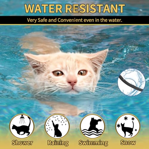 YOTANGO Flea Collar for Cats, Cat Flea and Tick Collar, 4 Pack, 32 Months | Waterproof, Adjustable Breakaway Design for Cats and Kittens. Four Collars Provide up to 32 Months and Start Within 24 Hours. - Image 7