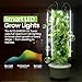 ALTO GARDEN GX Hydroponic Tower | Vertical Planter Tower | Hydroponics Growing System Kit | Food Grade with 24 Net Pots (with LED Grow Lights)