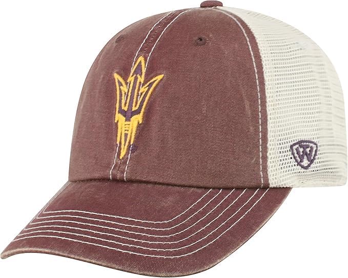 Georgia Collegiate Adjustable Hat