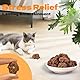 ZDL Früchte als Katzenspielzeug für Katzen,20pcs Matatabi Früchte Spielzeug für Katze,Spielzeug für Katzens,Zahnreinigung Dentales Essbares Kätzchenspielzeug Katzens Zahnreinigung