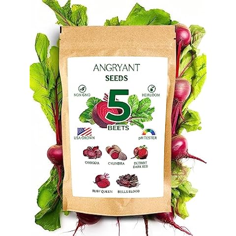 5 Beet Seeds for Planting - Non GMO, Heirloom Seeds - Individual Packets - Easy to Grow Variety Pack - Suitable for Indoors, Outdoors and Hydroponic - Chioggia, Cylindra, Detroit Dark Red, and More Cover