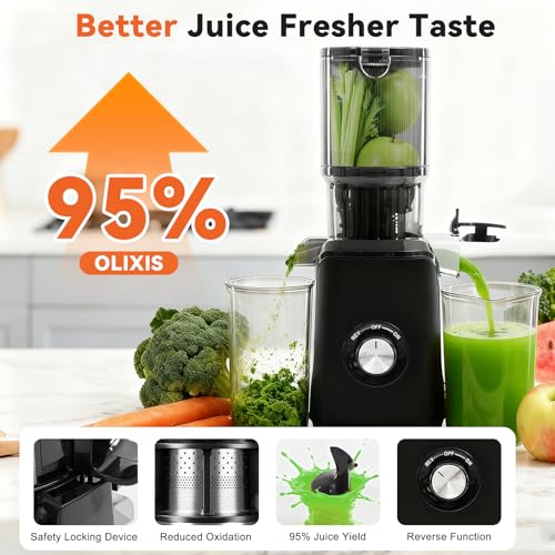 Image of NEWBULIG Cold Press Juicer Machines for Vegetables & Fruits, Black | Slow Masticating Juicer Machine with Reverse Function, 4.25 inch Feed Chute, Stops Oxidation and Easy to Clean