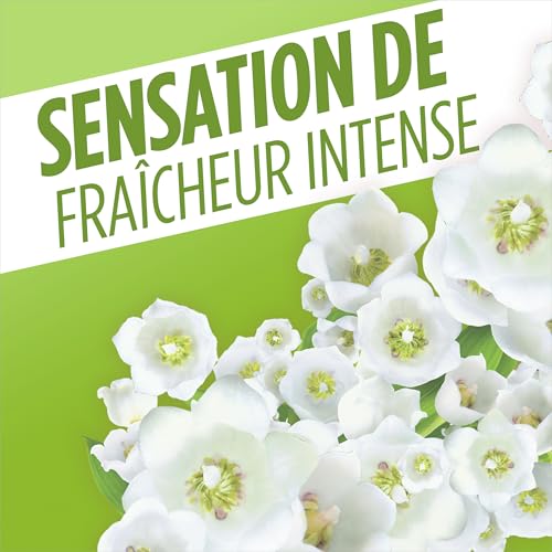 AJAX Nettoyant Ménager surfaces & Sol Fête des Fleurs Parfum Muguet Sans rinçage Idéal collectivités Grand Format Bidon de - vue 4