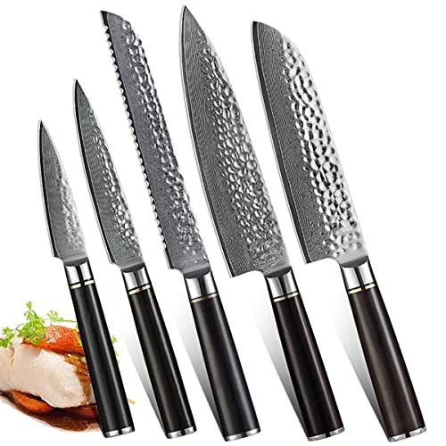 Set de Cuchillos Cocina 5 Piezas Acero Damasco