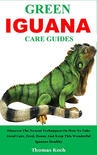 green iguana care
