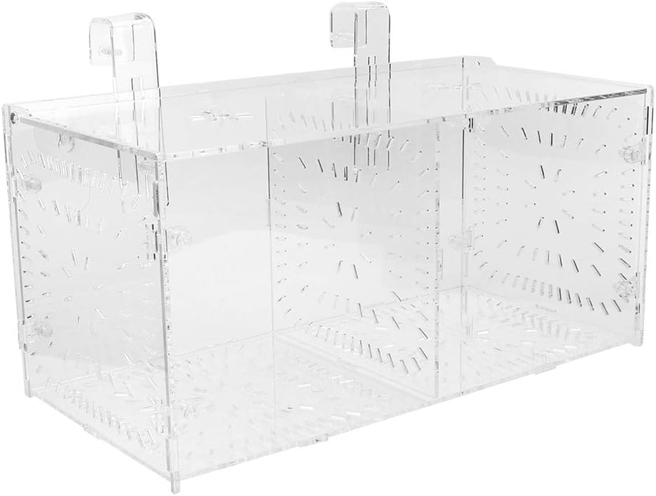 水槽隔離箱 産卵箱 耐久性 水槽飼育箱 魚孵化 魚産卵 魚繁殖隔離 稚魚保護 30cm 15cm 最大40 Offクーポン