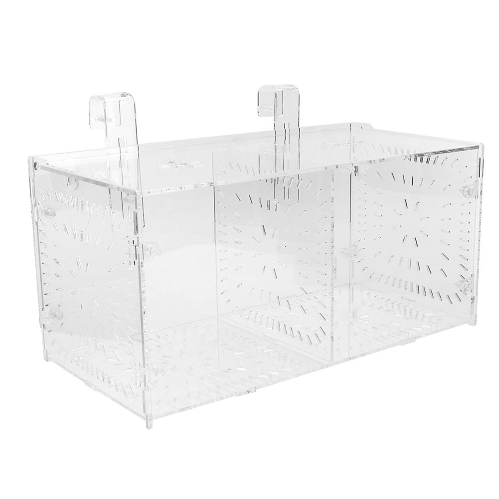 Zerodis Accessoire d'aquarium, boîte d'isolation, piège d'élevage innovant pour jeunes poissons et crevettes, idéal pour les besoins de reproduction et d'acclimatation, boîte d'élevage en acrylique