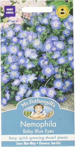 Mr. Fothergill's 14316 Nemophila Baby Blue Eyes Flower Seeds