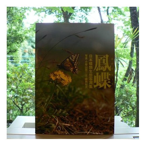 【中古】日本産蝶類大図鑑／藤岡知夫 著／講談社 □01)【1点限り!】日本産蝶類大図鑑 改訂増補/藤岡知夫/講談社/昭和56