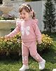 Conjunto de Ropa de Otoño e Invierno para Bebé Niña, Tallas 3-24M 4