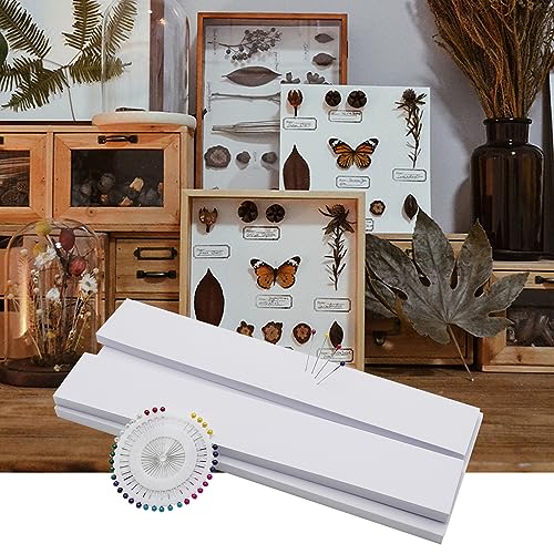 Image of Saihisday Insect Pinning Board, EVA Insect Specimen Plates, Butterfly Mounting Spreading Board, Making Insect Specimen Tools Kit, Insect Display Case Box for Science Bugs Collection Biology Projects
