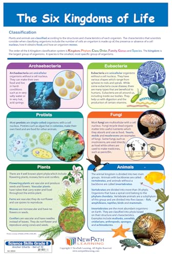 Image of NewPath Learning Grade 5 Science Anchor Charts - Set of 10 (12x18 inch) & 25-Page Resource Guide Covering Advanced Life, Earth & Physical Science For Classroom & Homeschool Use (94-9950)