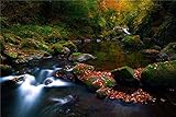 FAN C. Cuadro sobre Lienzo – Río Valle Rock Hojas Naturaleza Fotografía Pared Impresións – 120X75 cm