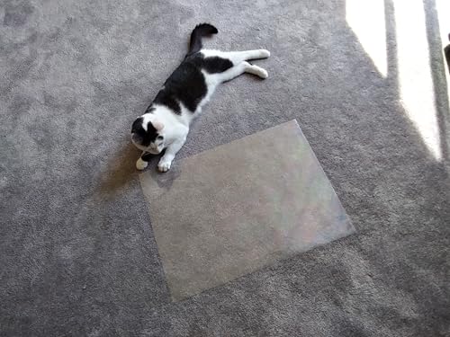 Image of Diffraction Grating Sheet - Do-it-Yourself Sun Catcher - Bring Rainbows Into Your Home