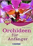  Orchideen für Anfänger (Gartenzeit)