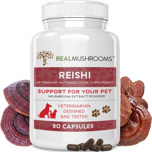 10 Best Champex Mushroom Extract For Dogs Reviewed by An Expert in 2023