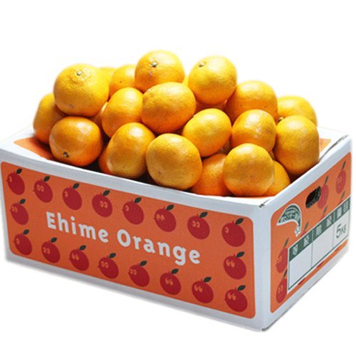 株式会社国安青果 【訳あり】 愛媛西宇和産みかん みかんの一大産地・愛媛県西宇和産