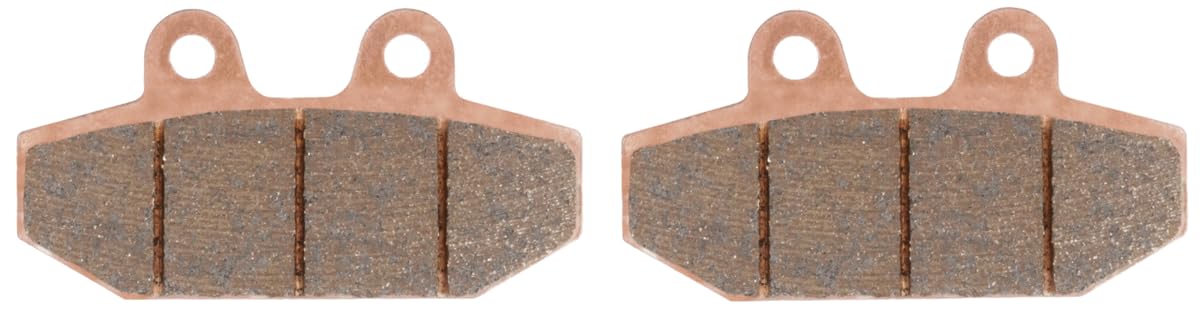 TRW MCB894SH Sinter Street Juego de Pastillas de Freno para Harley-Davidson FLSB 2018-9999 Eje trasero y otras motos