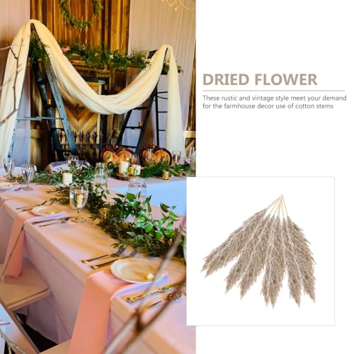 Ramo de flores secas de caña 15 piezas con caja miniatura 3