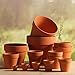 BESTOMZ 10 Pcs Terracotta Plant Pots Small Pots for Plants Mini Clay Pots 1.6'' Terracotta Pot Clay Ceramic Pottery Planter Cactus Flower Pots Succulent Nursery Pots- Great for Plants