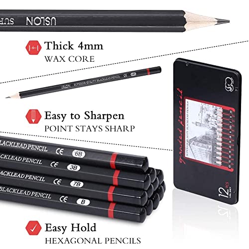 Image of Pieces Professional Drawing Pencils and Sketch Kit for Artist (45)