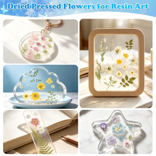 Image of 284 Pcs Real Dried Pressed Flowers & Butterfly Stickers for Resin Crafts