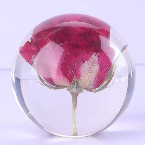 IMOOLY y[p[EFCg 8cm, ԕ t[y[p[EGCghCt[ vU[uht[ TCY NX^n[oE (flower C)