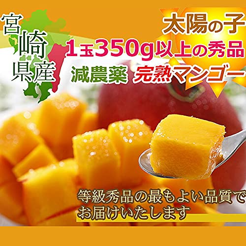 Amazon | 【最高糖度16度】宮崎県産 マンゴー 太陽の子 3L 約1kg 2玉