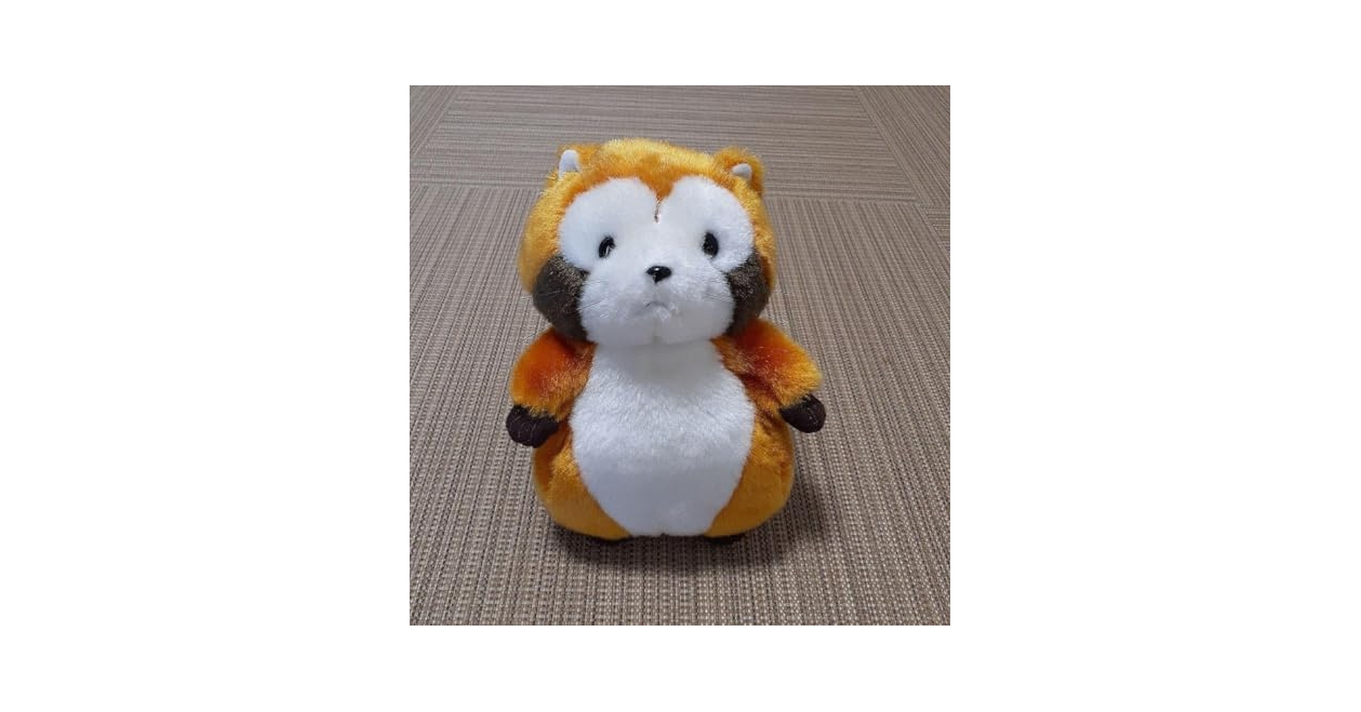 Amazon.co.jp: レアSekiguchi あらいぐま ラスカル ぬいぐるみ S