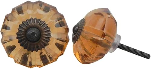 Indian Shelf Paquete de 6 pomos para cajones de tocador, pomos de flores de caléndula para guardería tiradores transparentes para dormitorio,