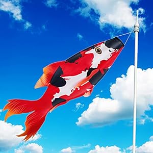Boao Roter Koi-Fisch Windsack 116cm