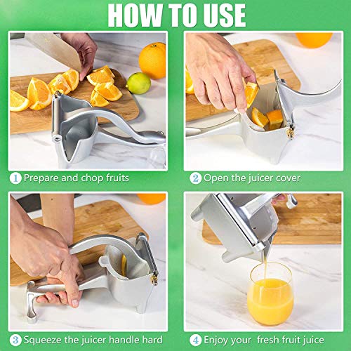 8 Best A Juicer For Carrots And Fruit What Is The Best A Juicer For Carrots And Fruit Juicer Machine List