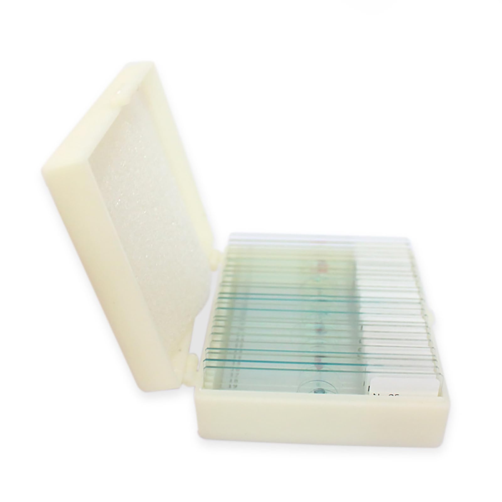 25 portaobjetos con muestras, portaobjetos preparados, portaobjetos preparados para muestras de microscopio, portaobjetos de vidrio preparados para laboratorios de ciencias biológicas, formación